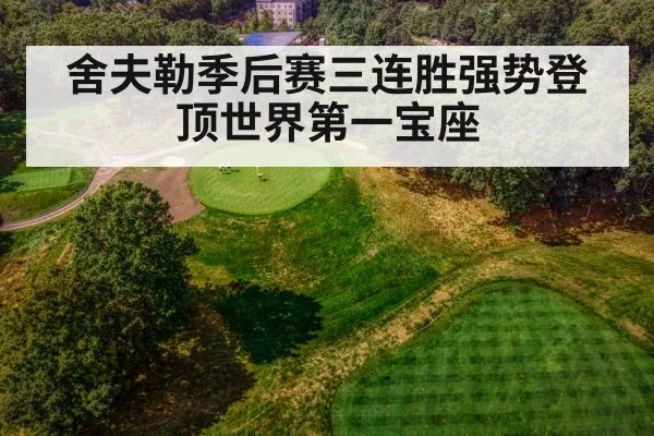 舍夫勒季后赛三连胜强势登顶世界第一宝座